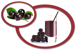 acai berry juice concentrate