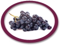 Organic Black Grape Juice Concentrate USA