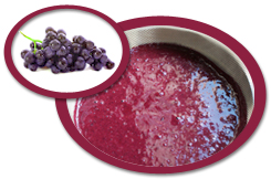 Black Grape Puree USA | Black Grape Puree Concentrate USA
