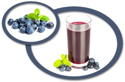 Blueberry Concentrate USA