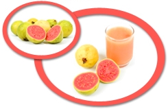 Guava Puree USA | Guava Puree Concentrate USA