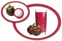 Mangosteen Juice Concentrate USA