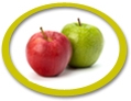 apple concentrate suppliers usa