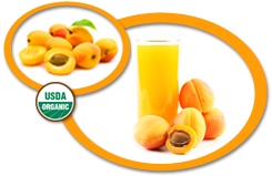Organic Apricot Juice Concentrate USA