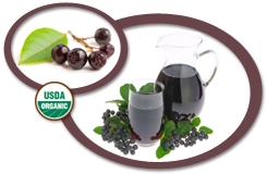 Organic Aronia Puree USA | Organic Aronia Puree Concentrate USA