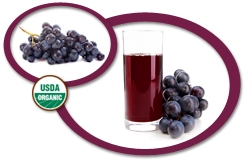 Organic Black Grape Juice Concentrate USA