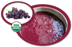 Organic Concord Grape Puree USA | Organic Concord Grape Puree Concentrate
            USA