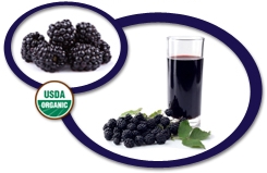 Organic Blackberry Juice Concentrate USA
