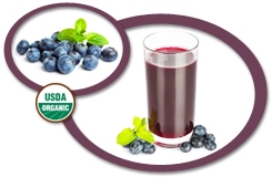 Organic Blueberry Juice NFC USA | Organic Blueberry Juice Not From Concentrate
            USA