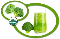 Organic Broccoli Juice Concentrate USA