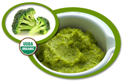 Organic Broccoli Puree USA | Organic Broccoli Puree Concentrate USA