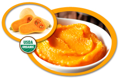 Organic Butternut Squash Puree USA | Organic Butternut Squash Puree Concentrate
            USA