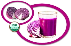 Organic Cabbage Concentrate USA