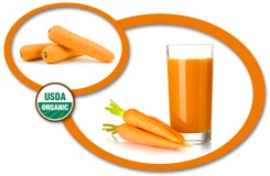 Organic Carrot Juice Concentrate USA