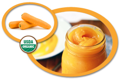 Organic Carrot Puree USA | Organic Carrot Puree Concentrate USA
