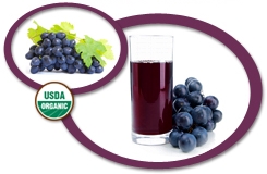 Organic Concord Grape Juice NFC USA | Organic Concord Grape Juice Not From Concentrate USA