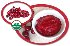 Organic Cranberry Puree USA | Organic Cranberry Puree Concentrate USA