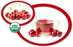 Organic Dark Sweet Cherry Juice NFC USA | Organic Dark Sweet Cherry Juice
            Not From Concentrate USA