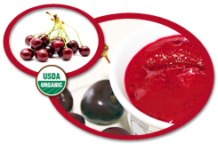 Organic Dark Sweet Cherry Puree USA | Organic Dark Sweet Cherry Puree
            Concentrate USA