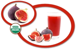Organic Fig Concentrate USA