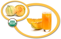 Organic Melon Juice Concentrate USA