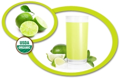 Organic Lime Juice Concentrate USA