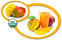Organic Mango Juice NFC USA | Organic Mango Juice Not From Concentrate
            USA