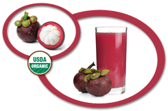 Organic Mangosteen Juice Concentrate USA