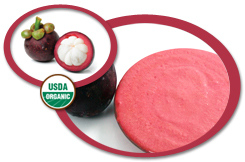 Organic Mangosteen Puree USA | Organic Mangosteen Puree Concentrate USA
