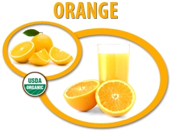 Organic Orange Juice Concentrate USA