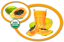 Organic Papaya Juice Concentrate USA