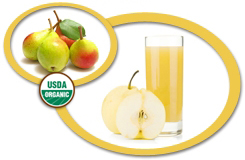 Organic Pear Juice Concentrate USA