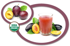 organic plum juice concentrate