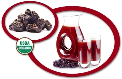 Organic Prune Concentrate USA