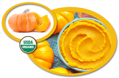 Organic Pumpkin Puree USA | Organic Pumpkin Puree Concentrate USA