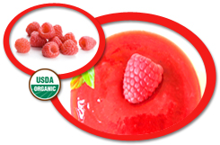 Organic Raspberry Puree USA | Organic Raspberry Puree Concentrate USA