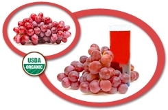 Organic Red Grape Puree USA | Organic Red Grape Puree Concentrate USA