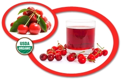 Organic Sour Cherry Juice NFC USA | Organic Sour Cherry Juice Not From
            Concentrate USA