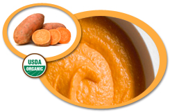 Organic Sweet Potato Puree USA | Organic Sweet Potato Puree Concentrate
            USA