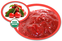Organic Tart Cherry Puree USA | Organic Tart Cherry Puree Concentrate
            USA