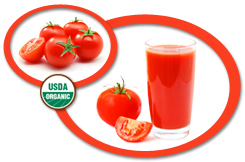 Organic Tomato Juice NFC USA | Organic Tomato Juice Not From Concentrate
            USA