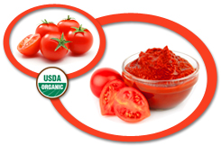 Organic Tomato Paste USA