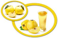 Quince Concentrate USA