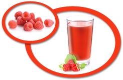 Raspberry Concentrate USA
