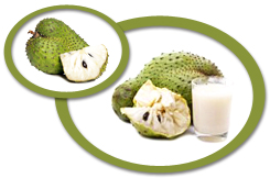 soursop juice concentrate