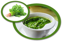Spinach Puree USA | Spinach Puree Concentrate USA