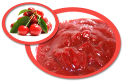Tart Cherry Puree USA | Tart Cherry Puree Concentrate USA