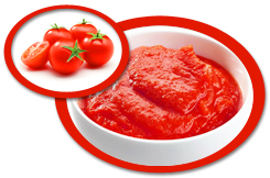 Tomato Puree USA | Tomato Puree Concentrate USA