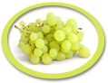Organic White Grape Juice NFC USA | Organic White Grape Juice Not From
            Concentrate USA