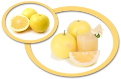 White Grapefruit Concentrate USA